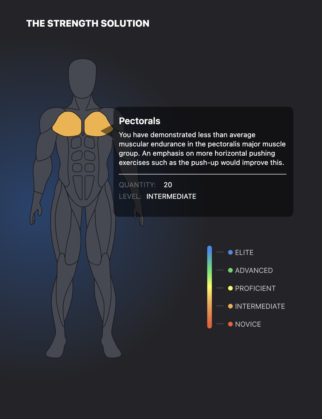 The Strength Solution dashboard with strength assessments, muscle map, and progress charts.
